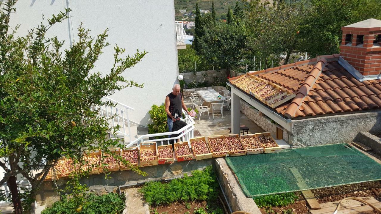 Guesthouset Pina