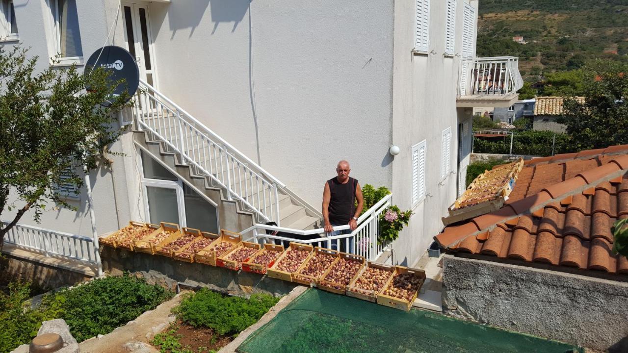 Pina Guesthouset 4*