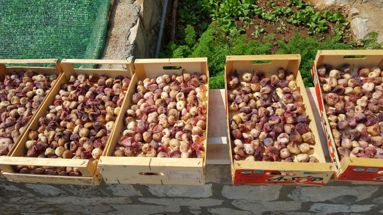 Gostinjska kuća Pina